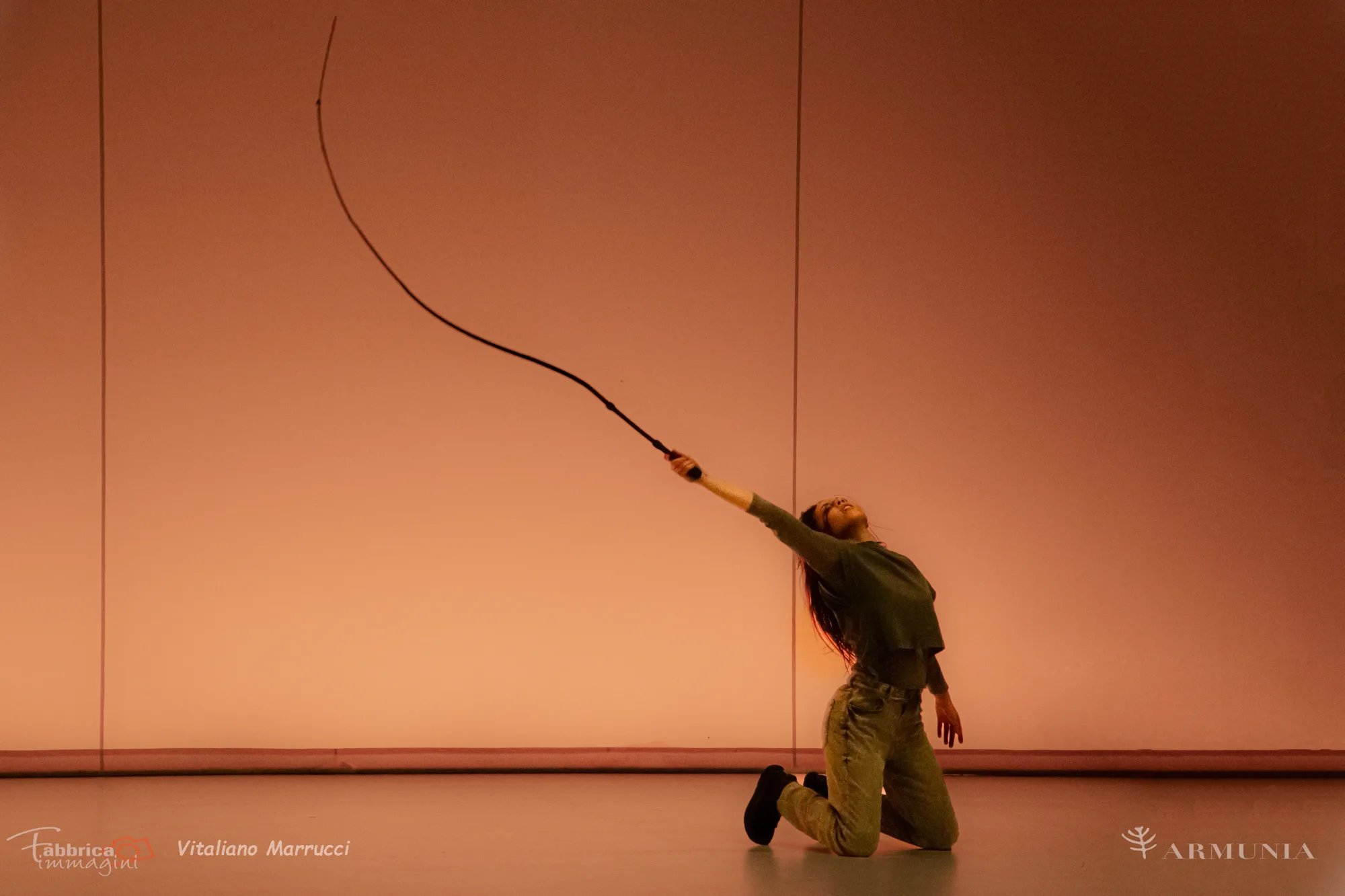 NULLA DIES SINE LINEA