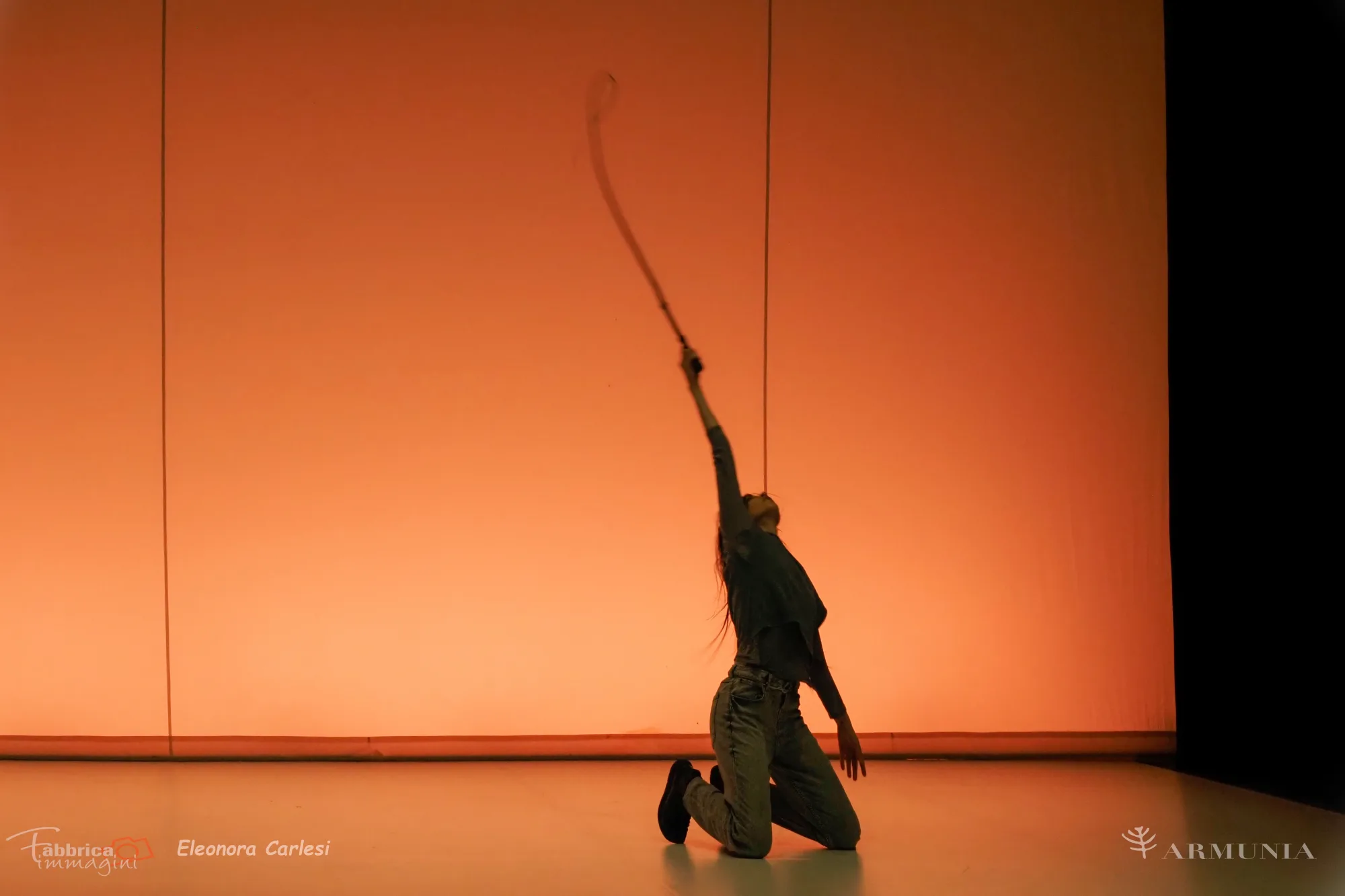 NULLA DIES SINE LINEA