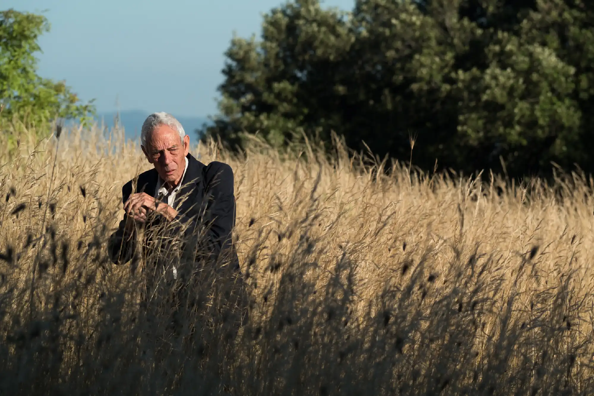 Inequilibrio Festival: in prima assoluta il nuovo lavoro di Marcello Sambati e la danza ipnotica di Dewey Dell image